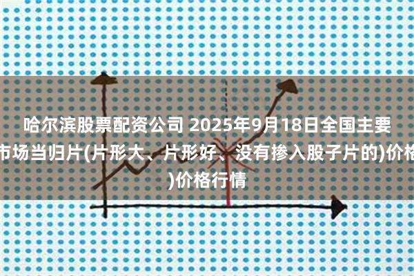 哈尔滨股票配资公司 2025年9月18日全国主要批发市场当归片(片形大、片形好、没有掺入股子片的)价格行情