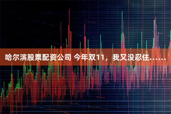 哈尔滨股票配资公司 今年双11，我又没忍住……